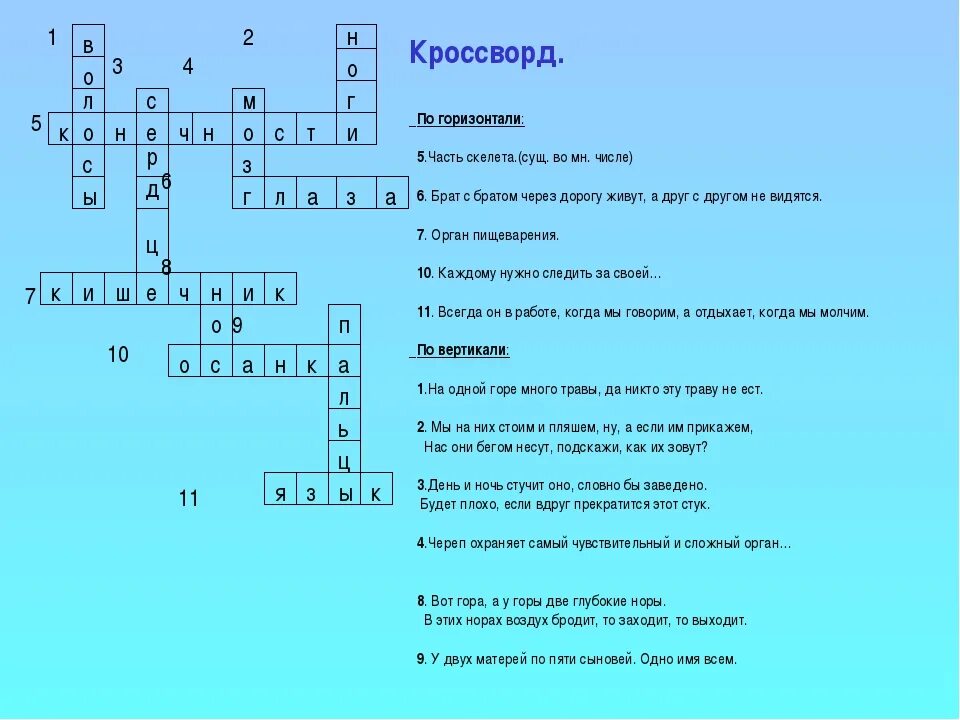 Соотечественник кроссворд. Кроссворд биология. Кроссворд по биологии 8 класс. Кроссворд на тем человек. Кроссворд на тему биология.