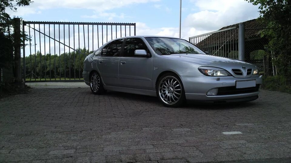 Nissan primera p11-144 капот. П 11 144 ниссан. Ниссан п11 144. П 11 144 ниссан. Primera p11 рестайлинг.