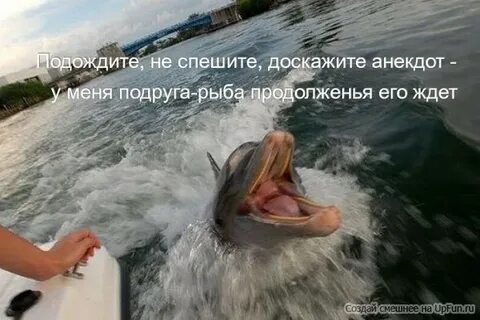 Ellen decided to become a dolphin keeper