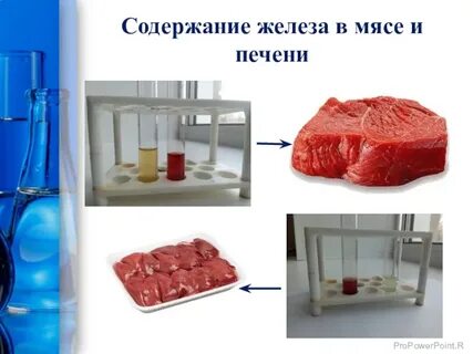 Железо в печени животных