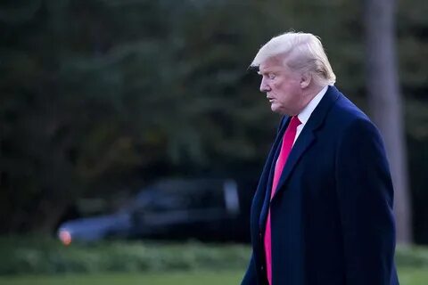 В каком году правил трамп