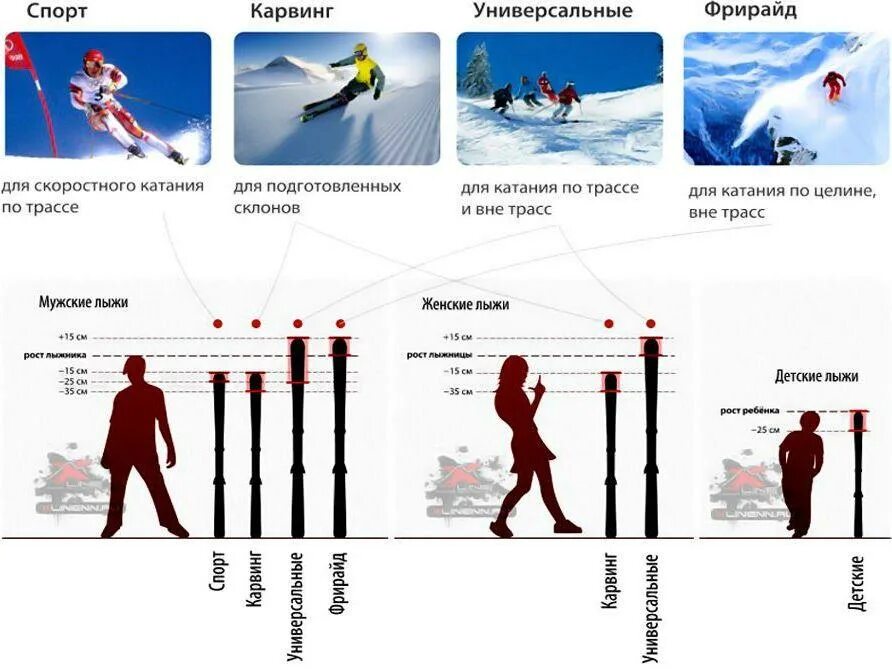 ростовка горных лыж. размер горных. таблица подбора горных лыж по росту ребенка. выбор горных лыж по росту. лыжи для конькового хода ростовка 175.