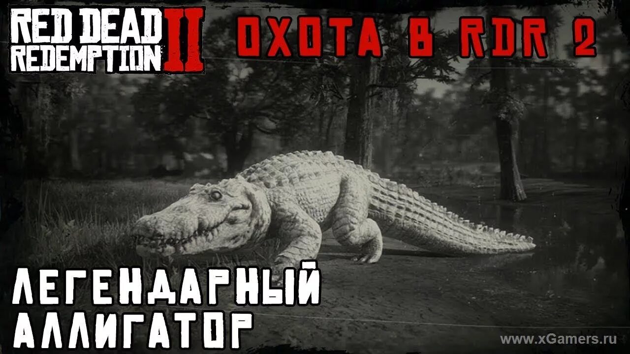 Мистические существа. Легендарный лось rdr 2. Red dead redemption 2 вилорог. Легендарный белый бизон rdr 2. Рдр 2 животные волк легендарный.