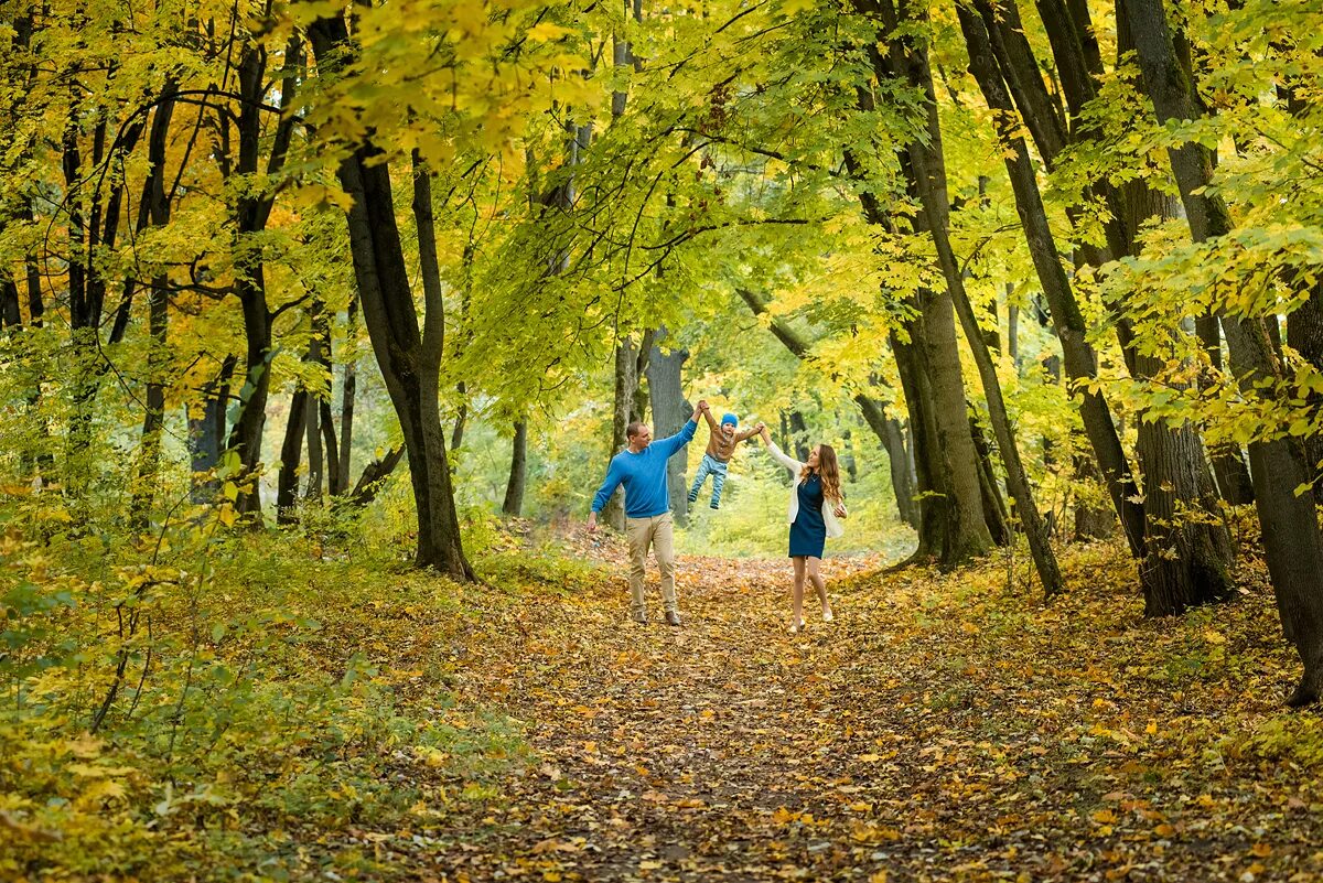 Погулять по лесу. Прогулка в парке. Прогулка в лесу. Прогулка в осеннем парке. Прогулка по осеннему лесу.