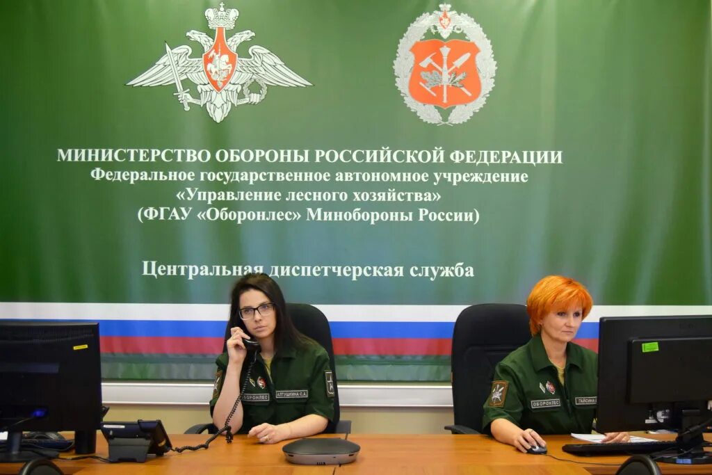 Федеральное государственное казенное учреждение управление. Департамент лесного хозяйства минобороны рф. управление лесного хозяйства министерства обороны российской. федеральная диспетчерская служба лесного хозяйства россии. минобороны лесное хозяйство управление лесного.