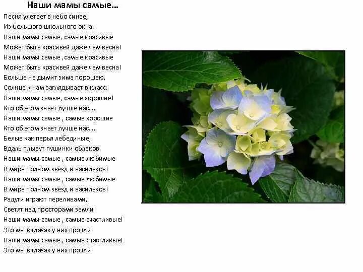 Слова песни самые прекрасные. Слова песни самые прекрасные