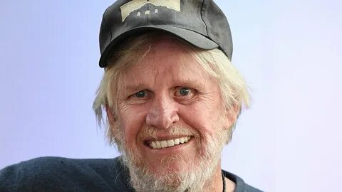 Gary Busey faces sex charges in New Jersey.