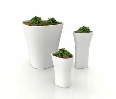 Plant series