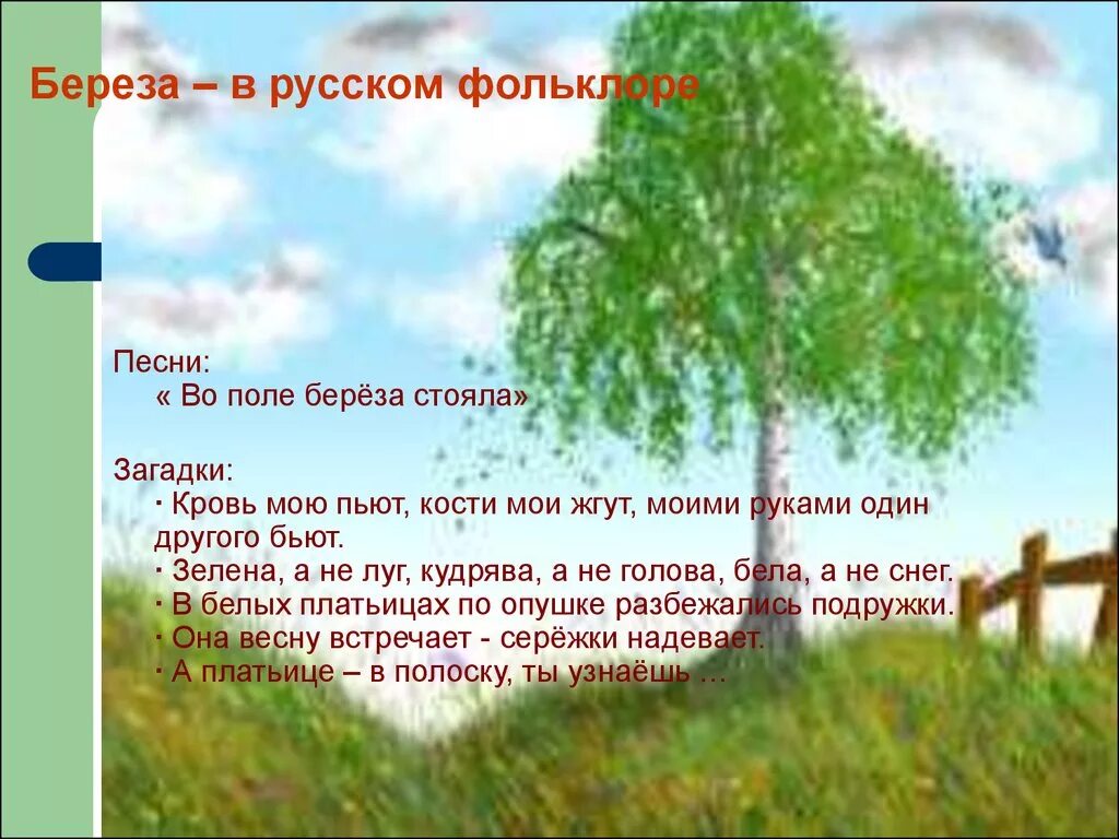 Песня березка кудрявая. Береза в русском фольклоре. Слова о русской берёзке. Во поле береза стояла слова. Стихи про летнюю берёзу.