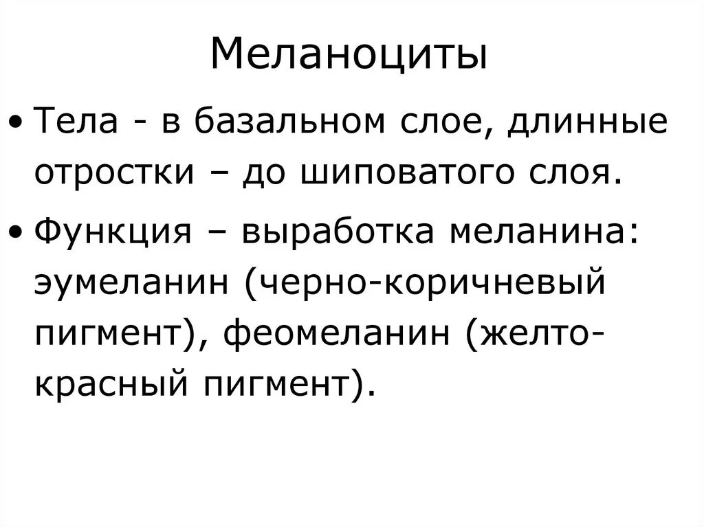 Меланоциты функции. Функции меланоцитов. меланоциты клетки функции. роль меланоцитов. какова функция меланоцитов.