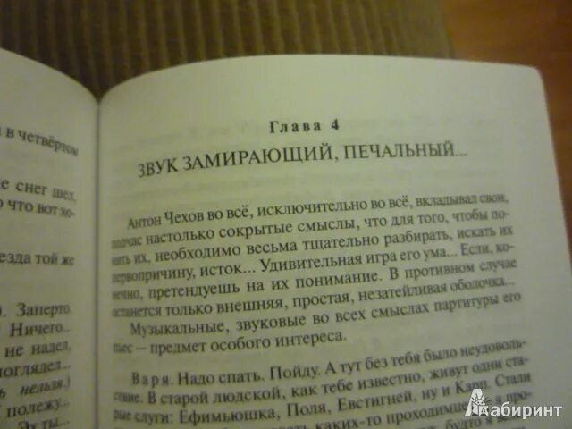 Чехов вишневый сад сколько страниц. Чехов вишнёвый сад отрывки. Чехов вишневый сад книга. Вишневый сад отрывок. Шелехов путеводитель по вишневому саду.