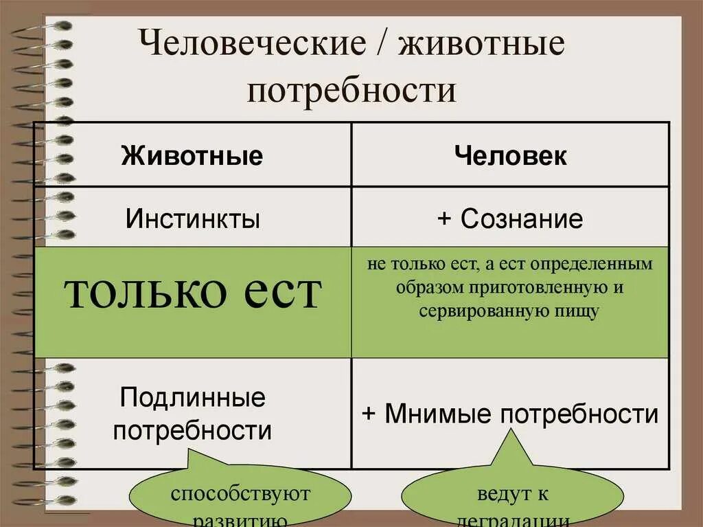Развитие инстинктов человека. Развитие инстинктов человека