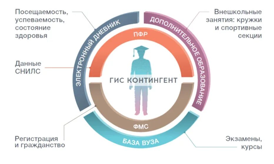 Сегменты гис. Гис контингент. вход в контингент. контингент электронный. база контингент.