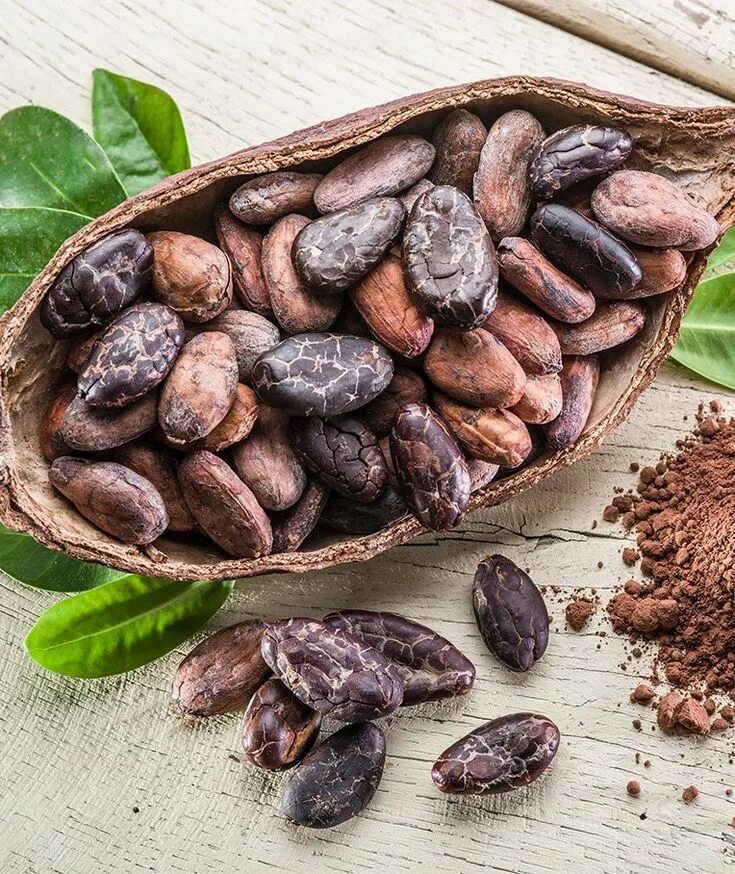 A Chocolate-Filled Adventure in Belize Hopkins Bay Resort, Belize Raw cacao, Swe