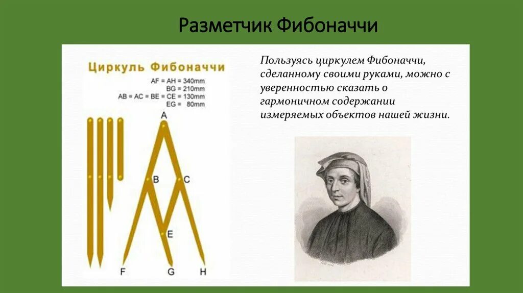 Циркуль фибоначчи. Разметчик Фибоначчи. Фибоначчи изобретение. Ряд Фибоначчи в костюме.