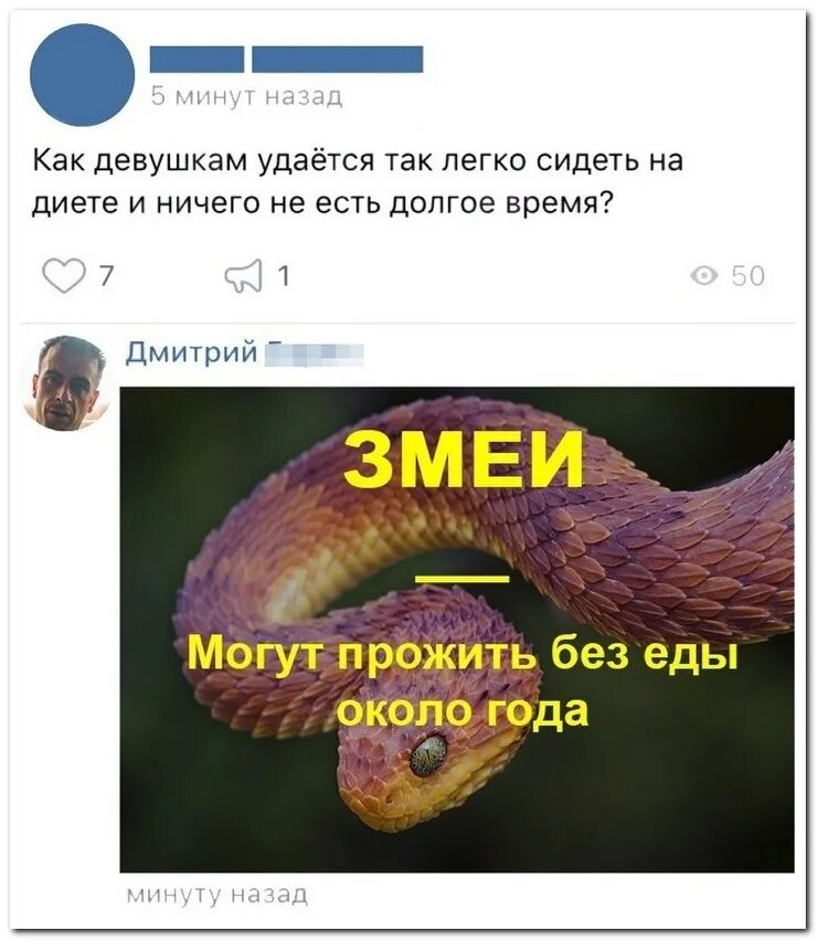 змея мем. комиксы про змей. шутки про кобру. приколы про змею. комикс про змею.