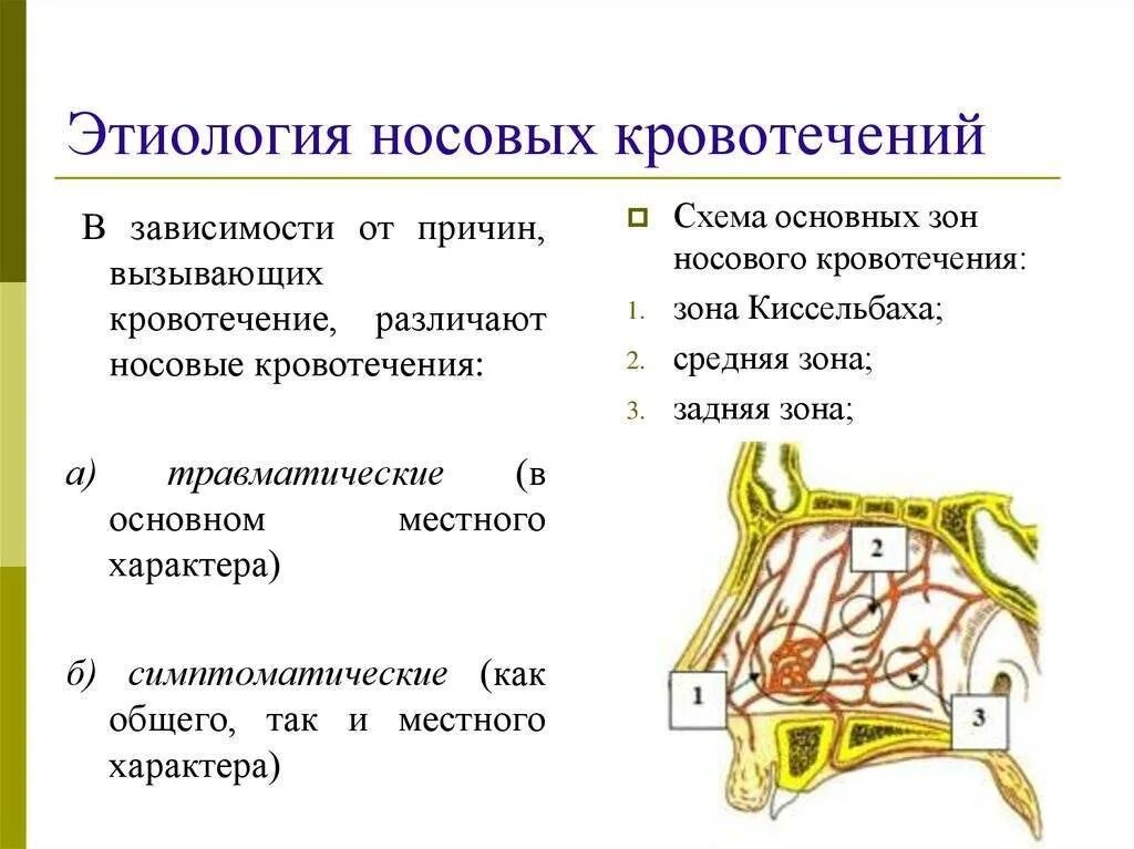 Почему кровотечение из носа. Признак кровотечения из задних отделов носа. Основные источники носовых кровотечений. Основные причины носового кровотечения. Общие причины носового кровотечения.