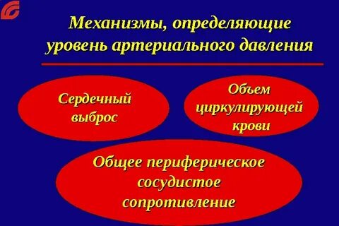 Уровень артериального давления определяется