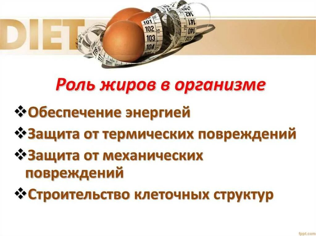 Какое значение жиров. Роль жиров. жиры роль в организме. роль жиров в жизнедеятельности организма. роль жиров в живых организмах.