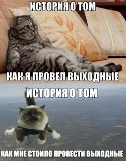 Устроим выходной