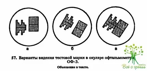 Варианты видишь