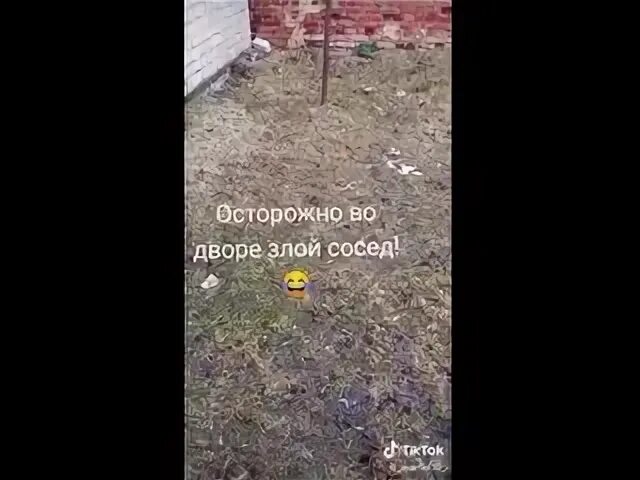 Злой сосед чтобы не убивал. Осторожно злые соседи. Злой сосед. Осторожно злые соседи табличка. Осторожно во дворе злой попугай.