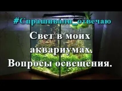 Вопросы аквариум