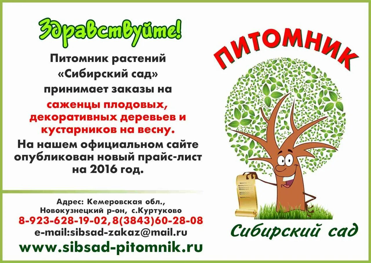 Саженцы питомник. Каталоги сибирских питомников. Кедр сибирский питомник. Питомник сады сибири новосибирск. Баннер питомник растений.