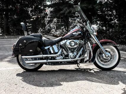 Harley softail