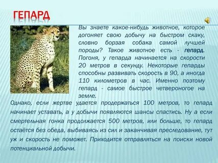 Сообщение о животном который