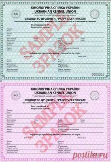 Документы на собаку