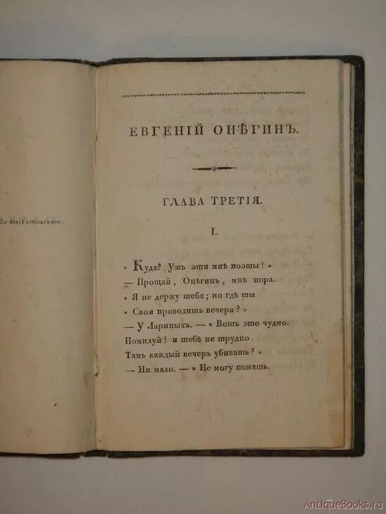 Онегин 2 глава содержание. Онегин 2 глава содержание