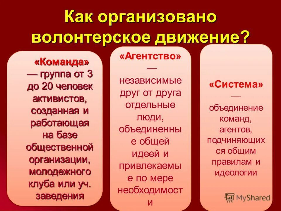 Какие группы волонтеров. Направления волонтерской деятельности. Система волонтерской деятельности. Направления волонтерского движения. Формы развития волонтерства.