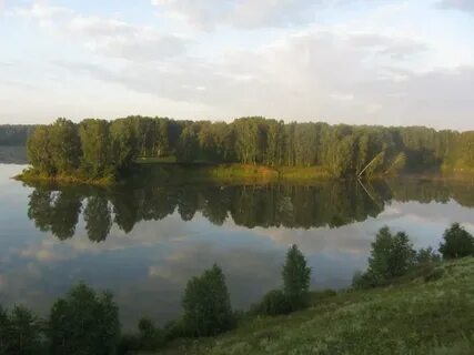 Пруды 5 4