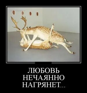Она нечаянно нагрянет