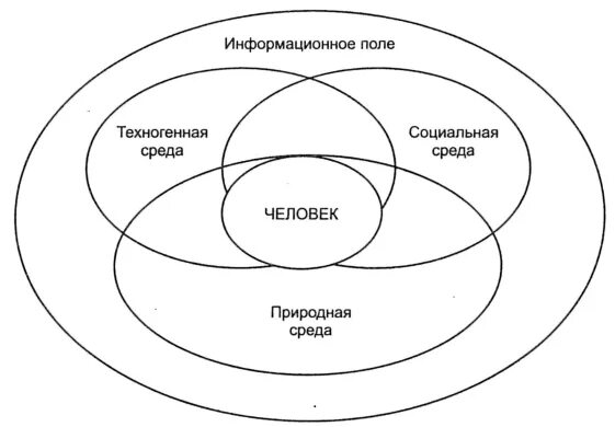 Структура среды обитания. Структура среды обитания