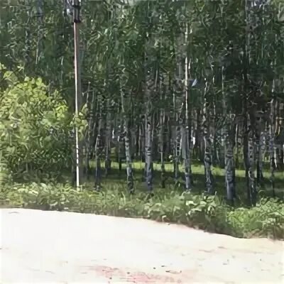 Поселок 3 лес