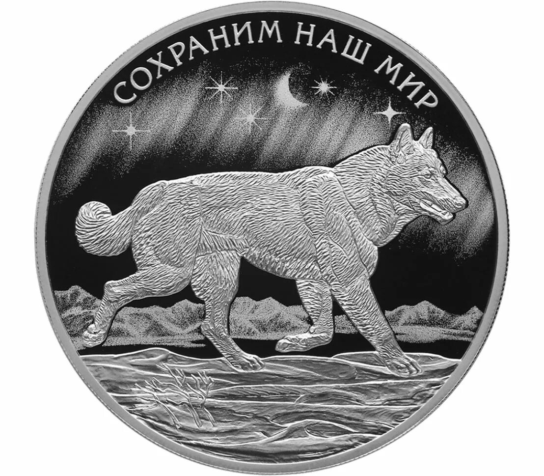 Серебряная монета Полярный волк. Монета Полярный волк 2020 серебро. 50 Рублей 2020 «Полярный волк». Монета Полярный волк 2020 золото.