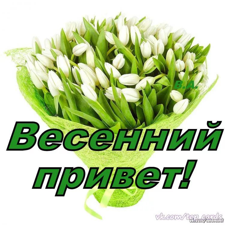 Весенний привет. Весенние открытки. весенний привет открытки.