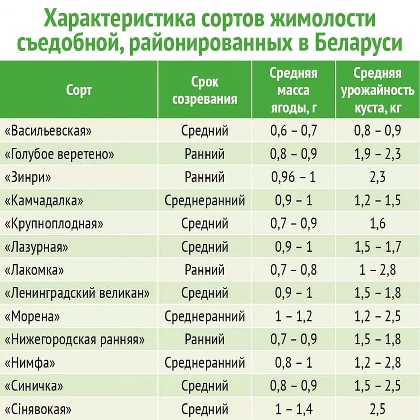 Какие сорта нужно