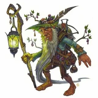 Forest gnome
