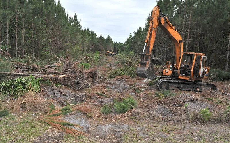 Clearing land. Land clearing.