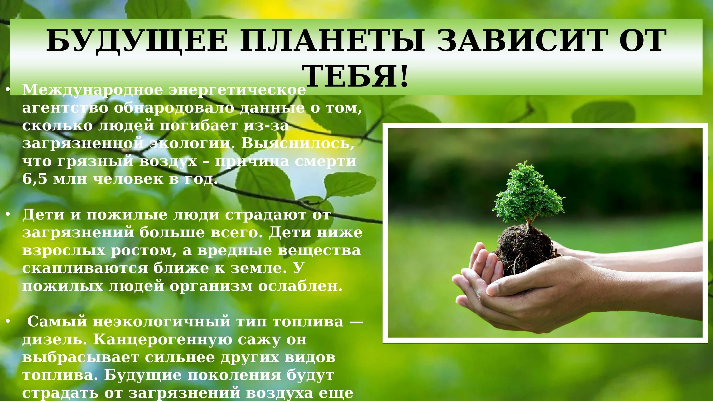Природы сохранение функции. Сохраним природу вместе. сохраним землю. экология и охрана природы. экология и сохранение экологии.