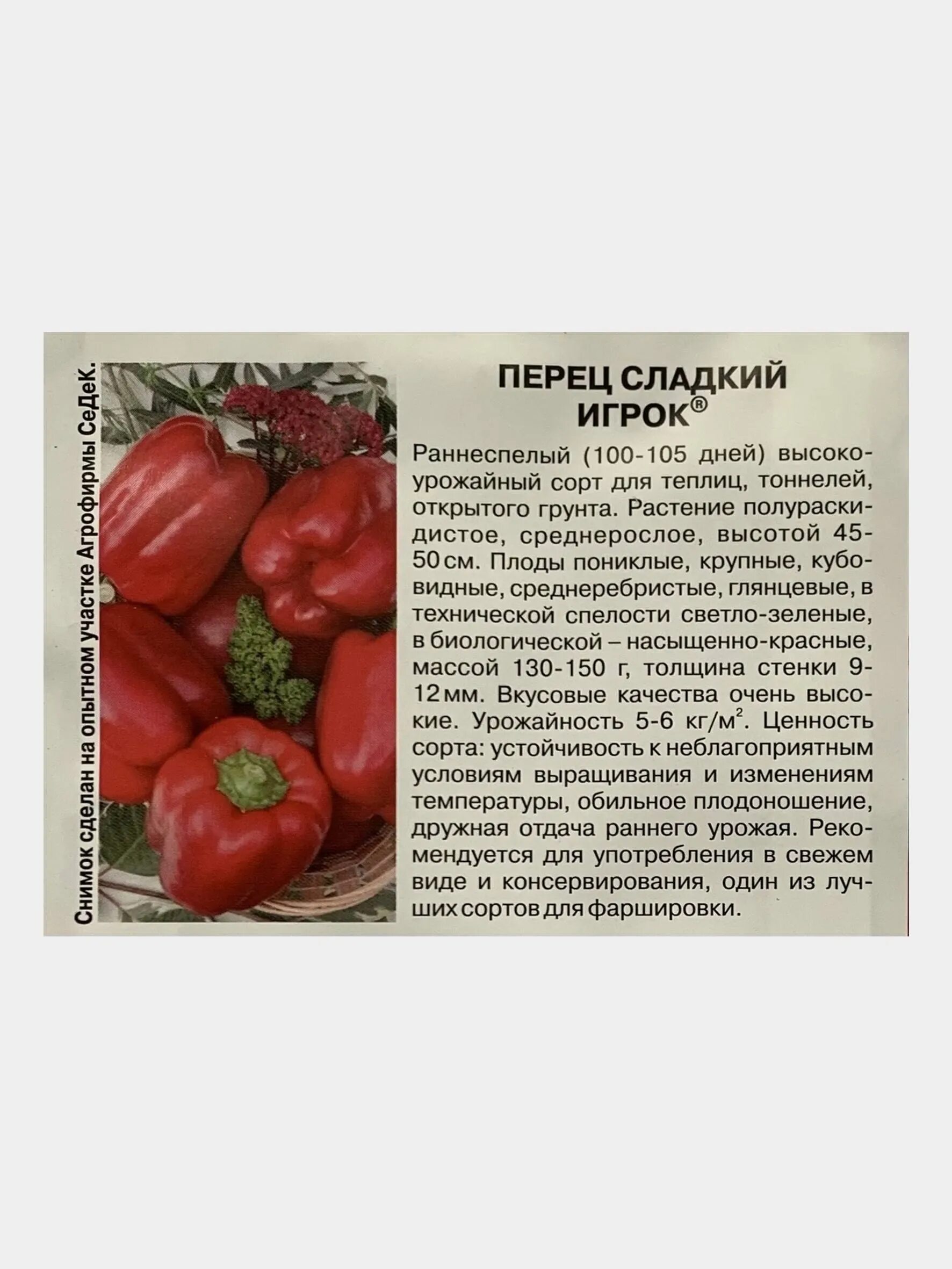Перец мегатон отзывы фото. Перец игрок описание сорта. перец игрок описание сорта фото. перец игрок характеристика и описание сорта. перец игрок описание сорта фото отзывы.
