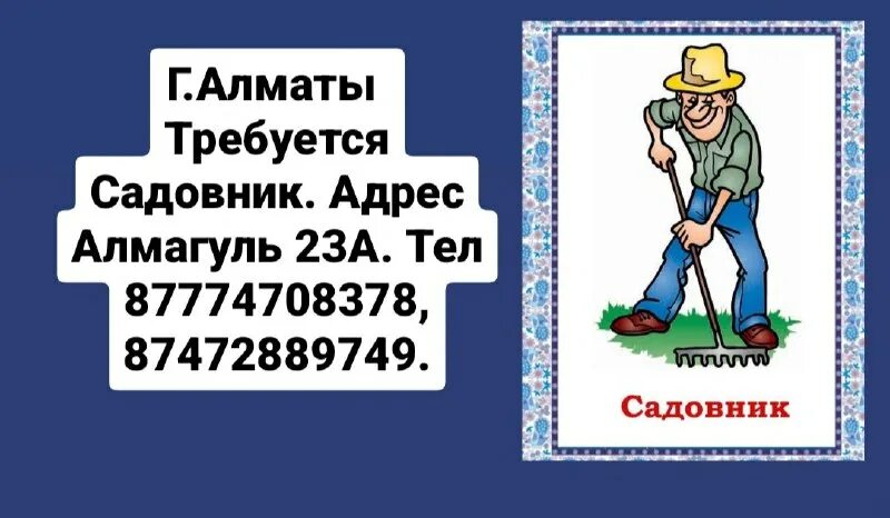 Садовник адреса. Садовый центр магазин. Садовник, сеть магазинов киров. Рынок растений в москве. Товары для садового центра.