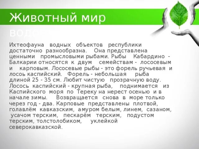 Растение кбр доклад. Моя родина кабардино балкария. Кабардино-балкарский государственный высокогорный заповедник. Мир кбр. Мир кбр.