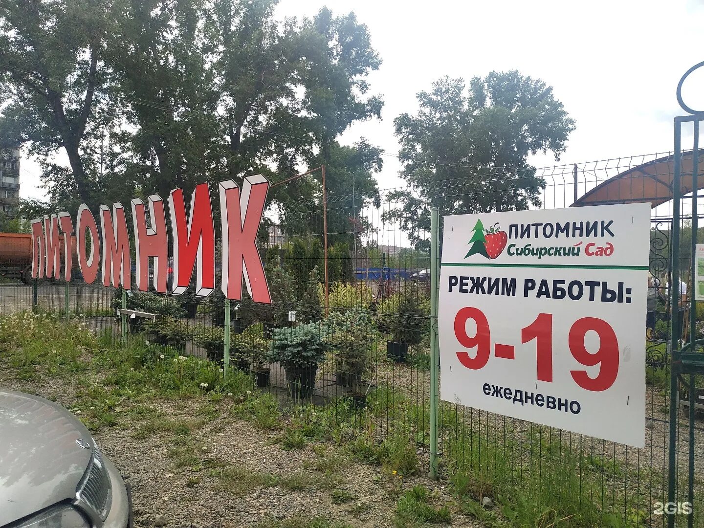 Новосибирский питомник надежный сад. Новосибирский питомник надежный сад. Новосибирский питомник. Новосибирский питомник надежный сад. Новосибирские питомники саженцев.