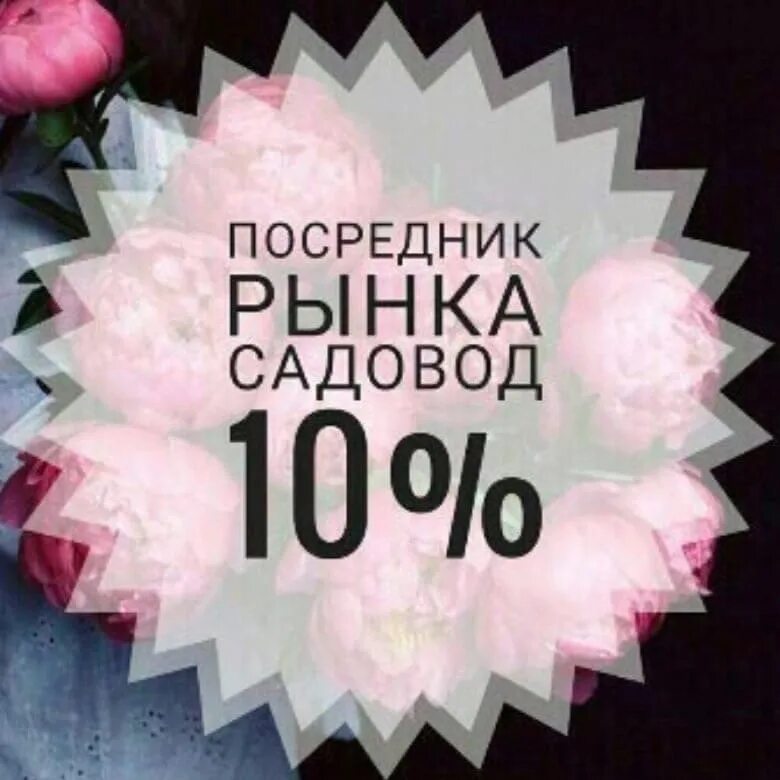 Посредник садовник. Посредник садовод. Посредник садовник. Посредник рынка садовод. Посредник рынка садовод 10.