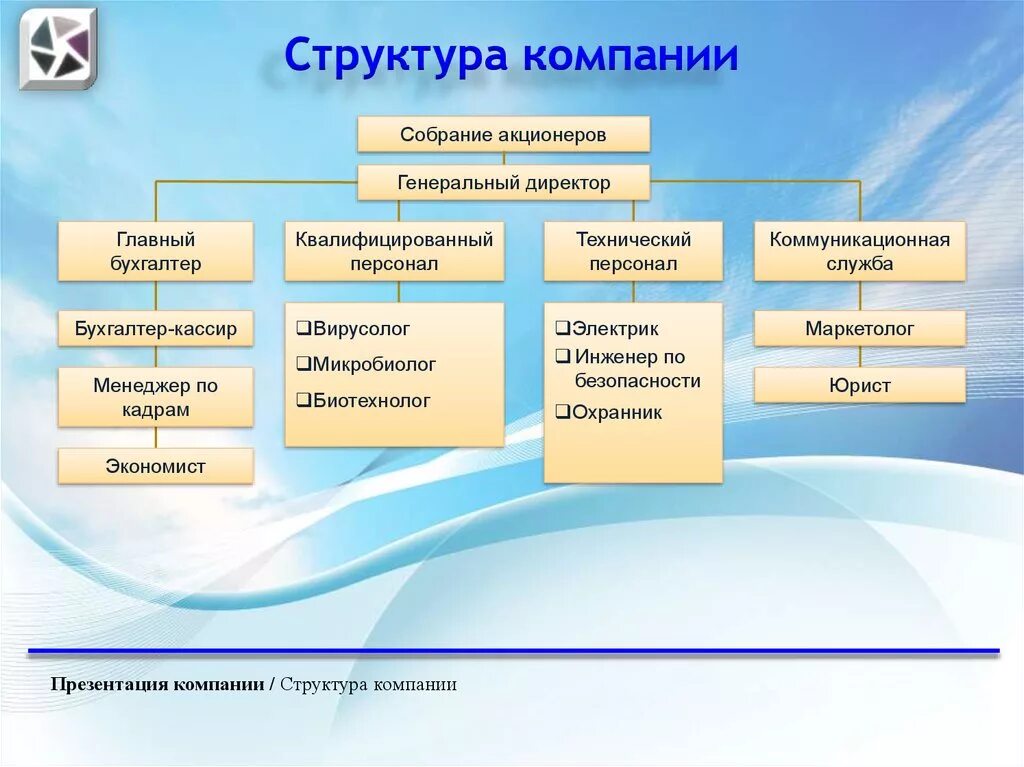 Какая структура организации первична. Структура организации. Структура компании. Структура организации предприятия. Структура организации фирмы.