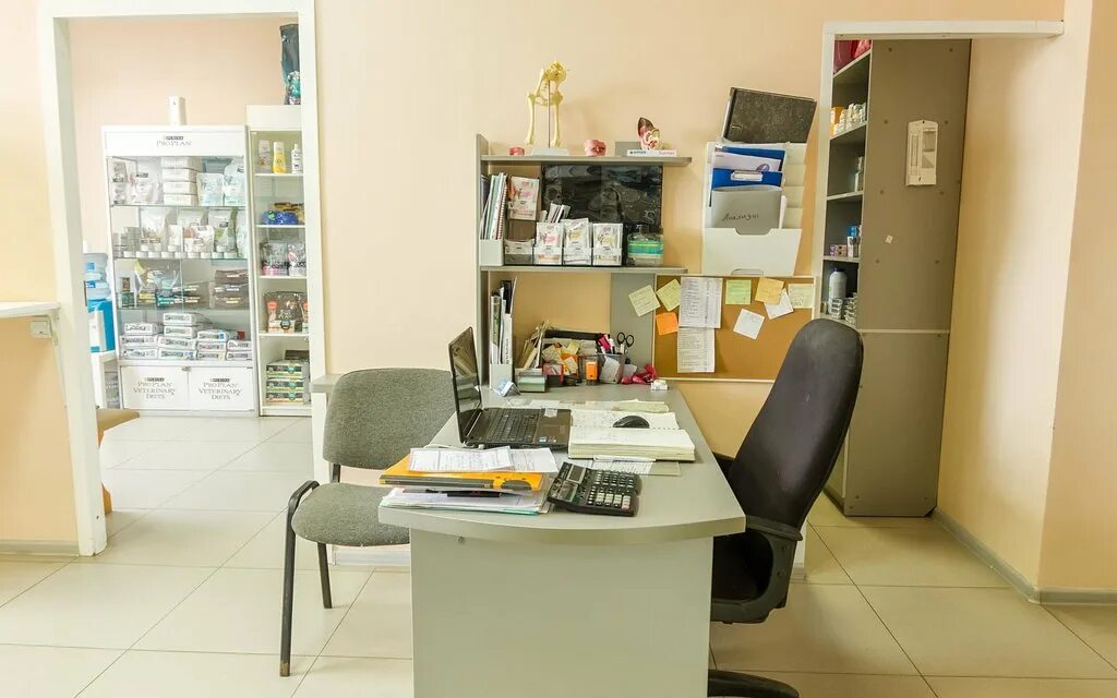 иркутск, ул. ветеринарная клиника в нижнекамске. ваш доктор воткинск. ваш доктор тюмень широтная 92 запись на прием. ваш доктор иркутск.